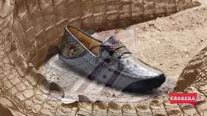 CARRERA SHOES